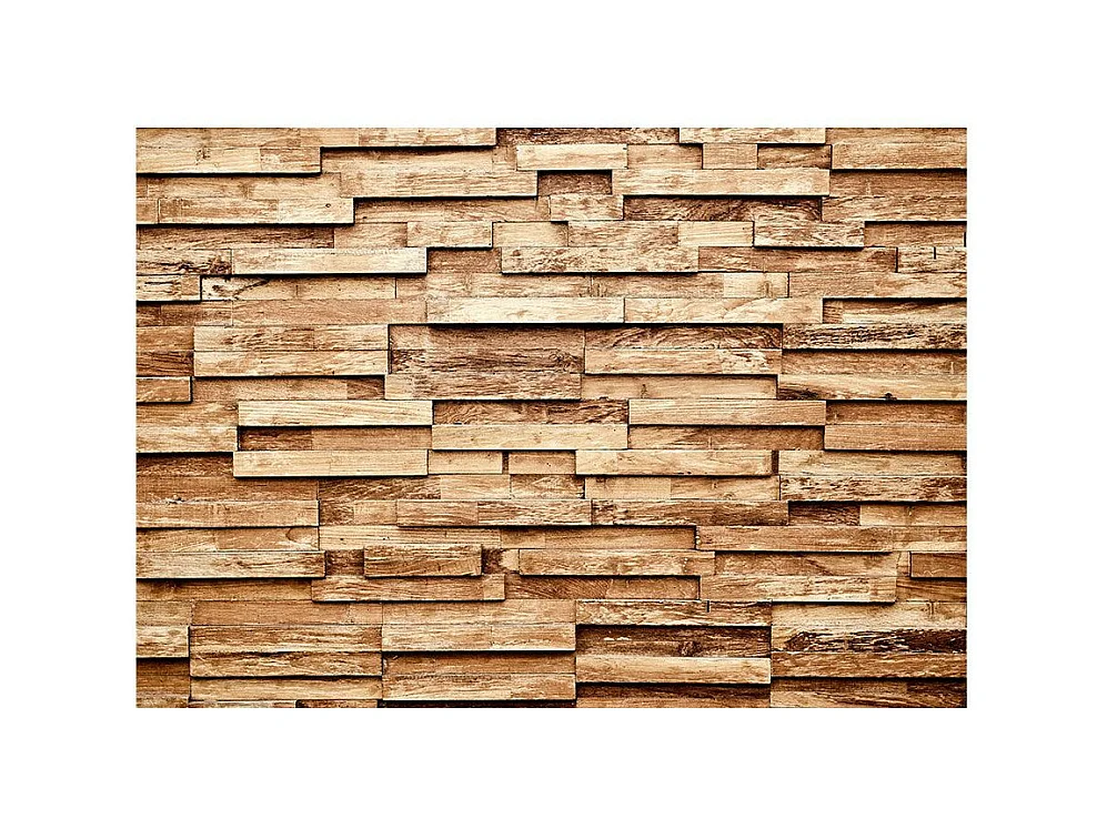 Papier Peint "Palisade" 280 x 400 cm