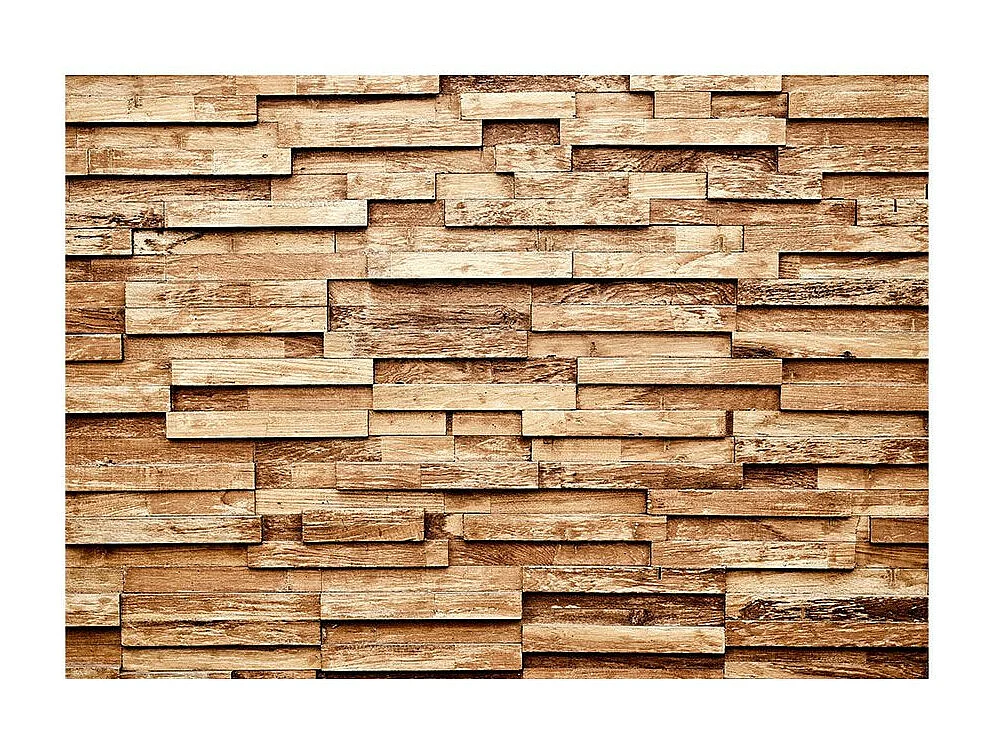 Papier Peint "Palisade" 280 x 400 cm