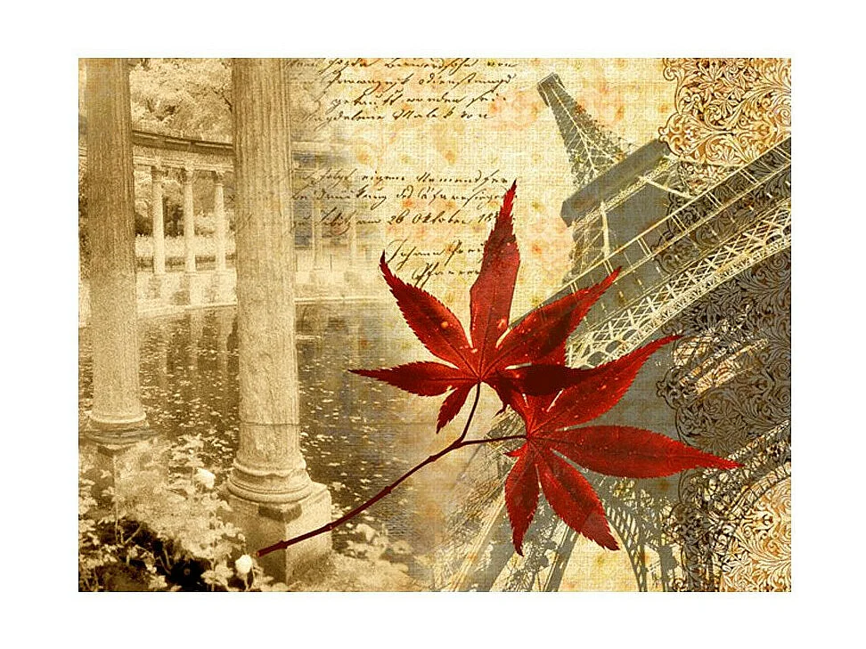 Papier Peint "Automne & Paris" 270 x 350 cm