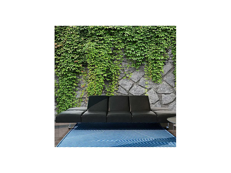 Papier Peint "Mur Vert" 245 x 350 cm