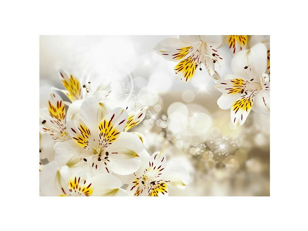 Papier Peint "Sunny Alstroemeria" 280 x 400 cm