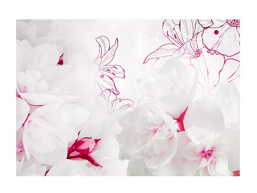 Papier Peint "Enveloped in White" 210 x 300 cm