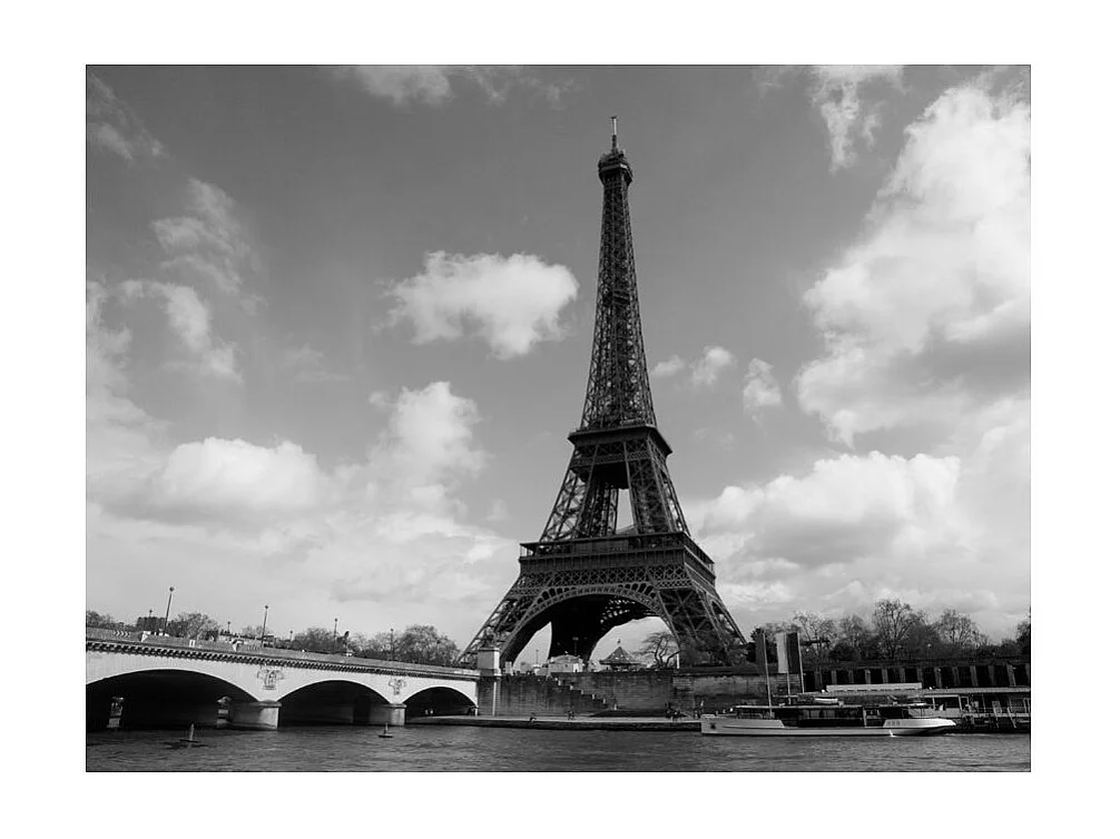 Papier Peint "Seine & Tour Eiffel" 231 x 300 cm