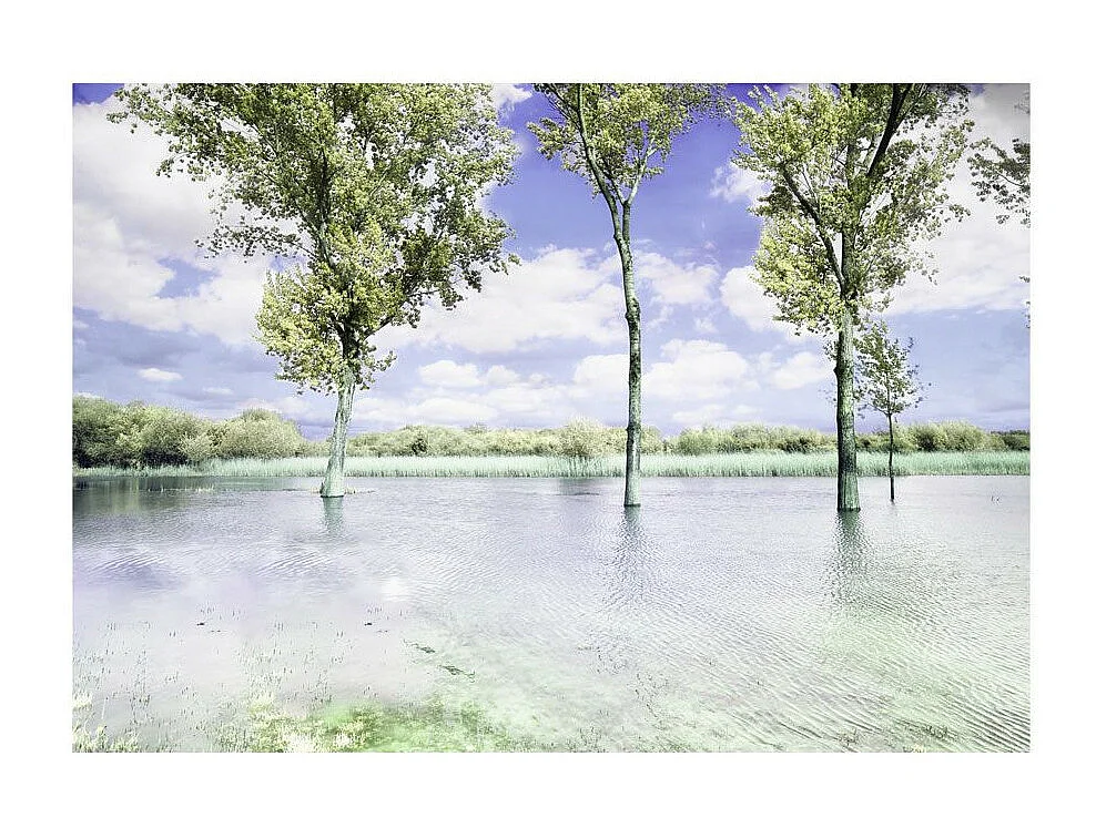 Papier Peint "Spring Scenery" 105 x 150 cm