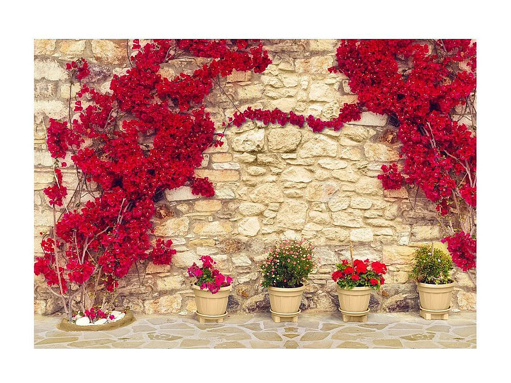 Papier Peint "Warm Afternoon" 70 x 100 cm