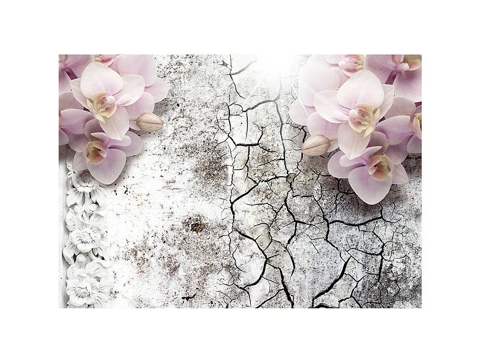 Papier Peint "Bright Red Orchids" 105 x 150 cm