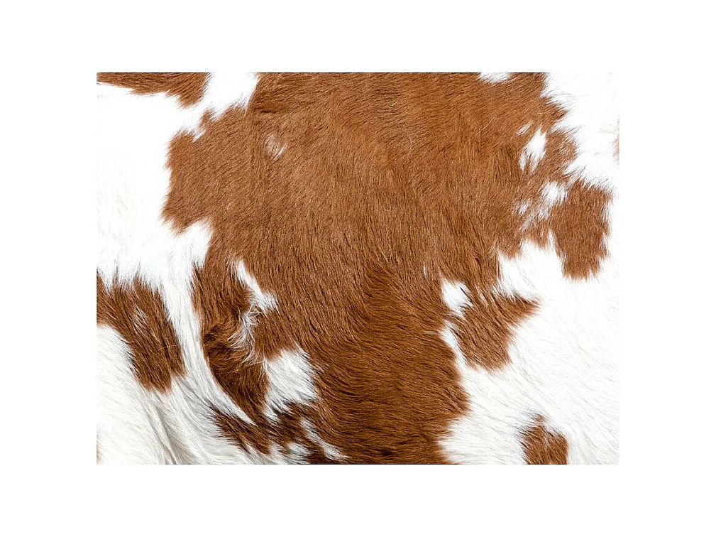 Papier Peint "Peau de Vache" 309 x 400 cm