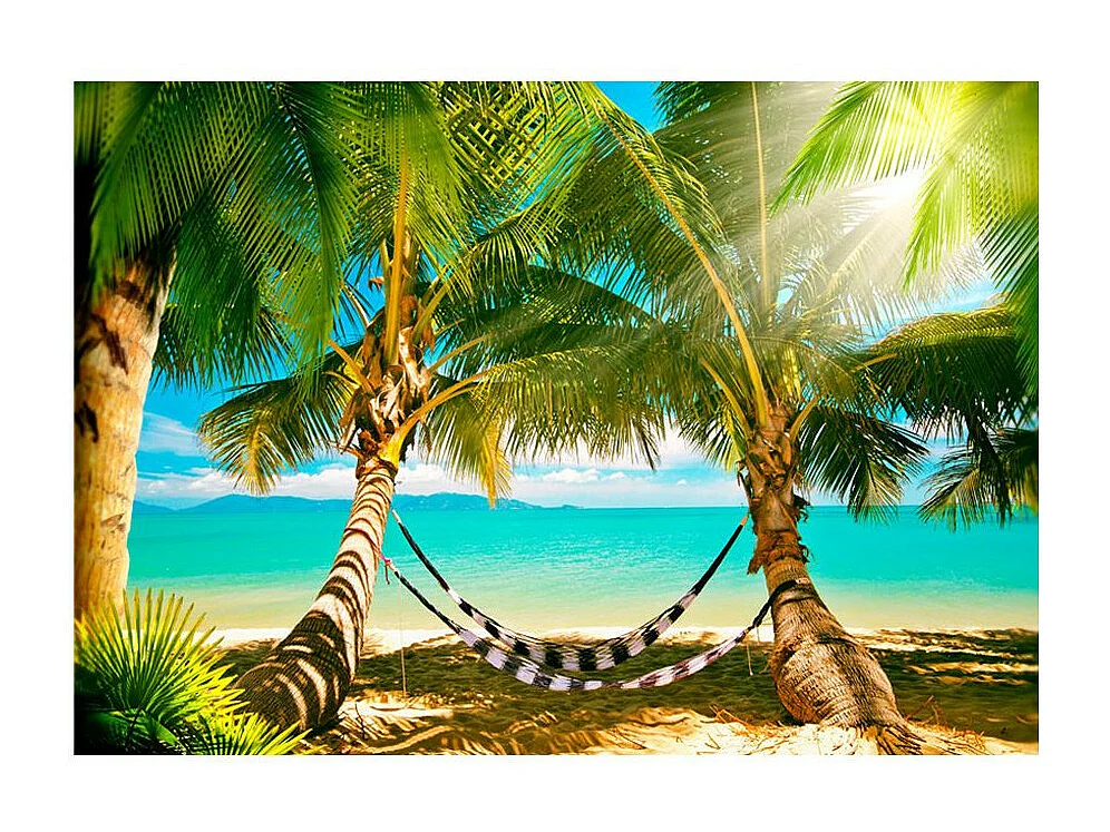 Papier Peint "Duo Ensoleillé" 210 x 300 cm