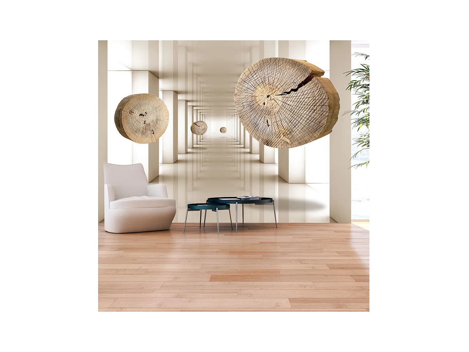 Papier Peint "Cercles de Bois Volants" 245 x 350 cm