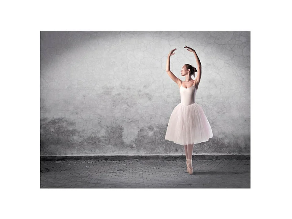 Papier Peint "Danseuse de Ballet Comme Chez Degas" 193 x 250 cm