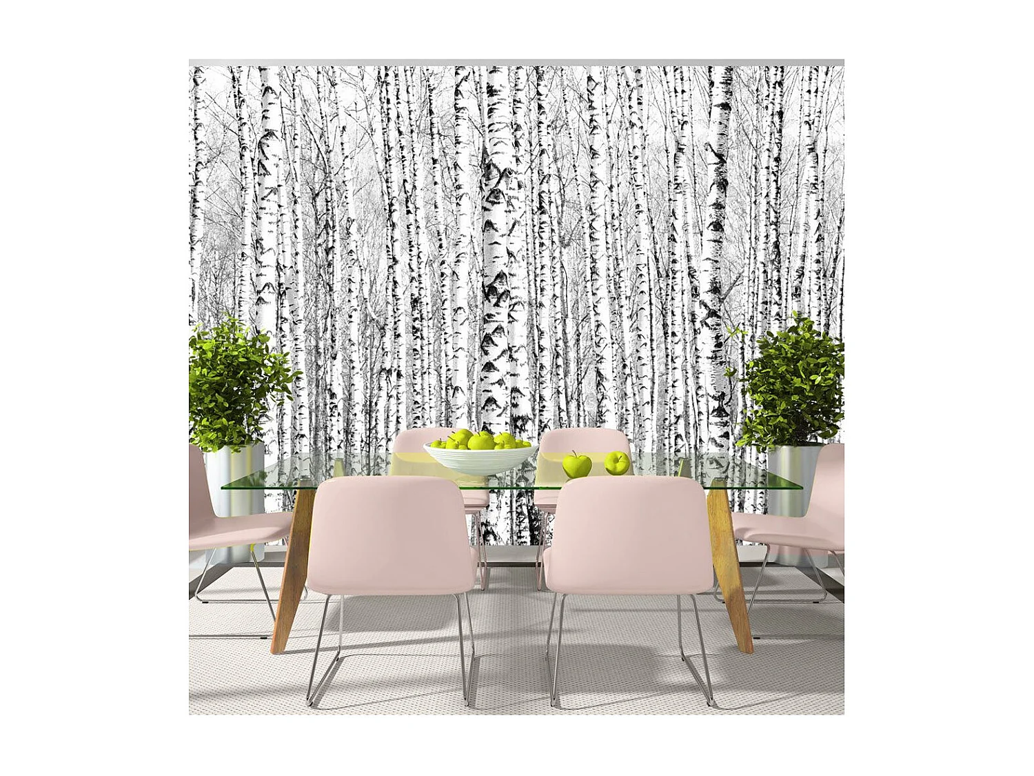 Papier Peint "Birch Forest" 105 x 150 cm