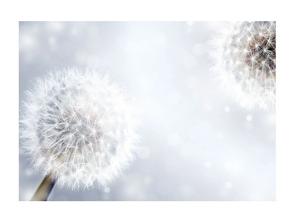 Papier Peint "Unpredictable Moments" 245 x 350 cm