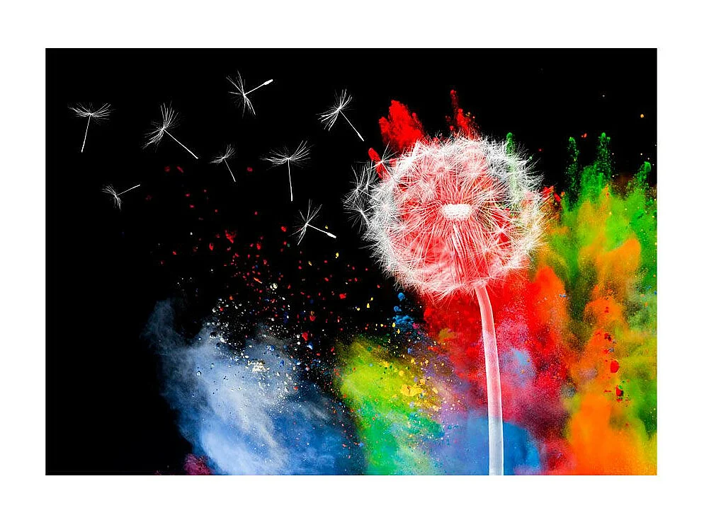 Papier Peint "Colourful Element" 245 x 350 cm