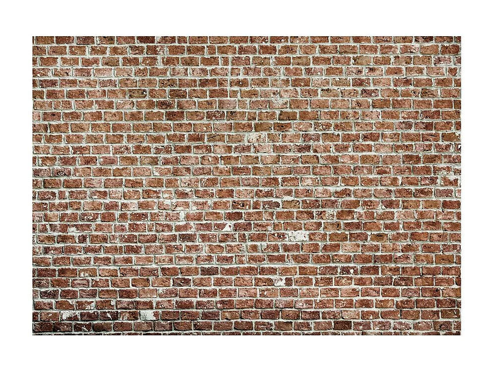 Papier Peint "Old Dominion" 245 x 350 cm