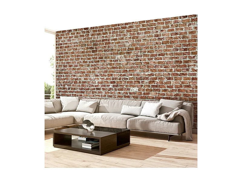 Papier Peint "Old Dominion" 245 x 350 cm