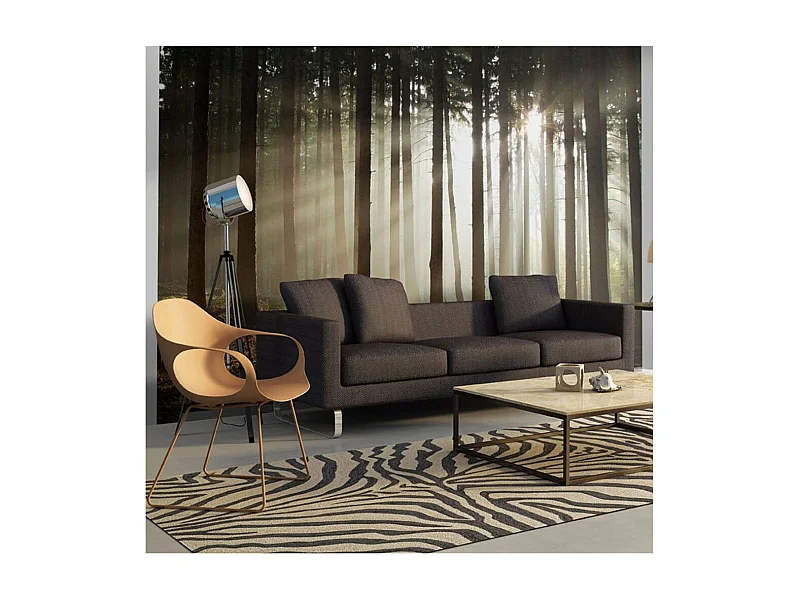 Papier Peint "Forêt dans le Brouillard du Matin" 231 x 300 cm