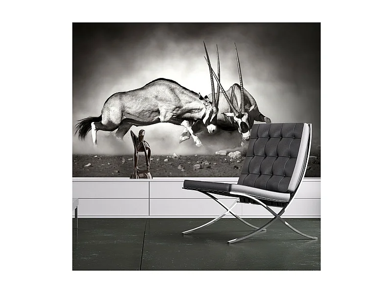 Papier Peint "Gazelles en Lutte, Dunes de la Namibie" 231 x 300 cm