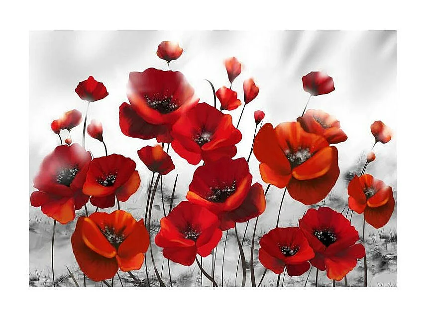 Papier Peint "Coquelicots dans au Clair de Lune" 210 x 300 cm