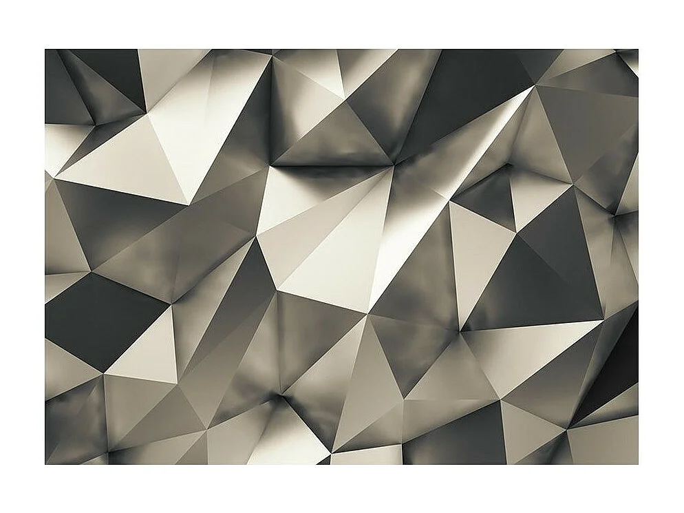 Papier Peint "Cosmic Silver" 210 x 300 cm