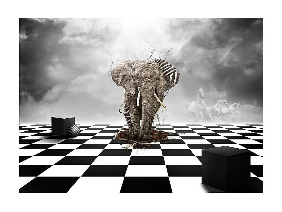 Papier Peint "Échec & Mat : Éléphant le Roi" 231 x 300 cm