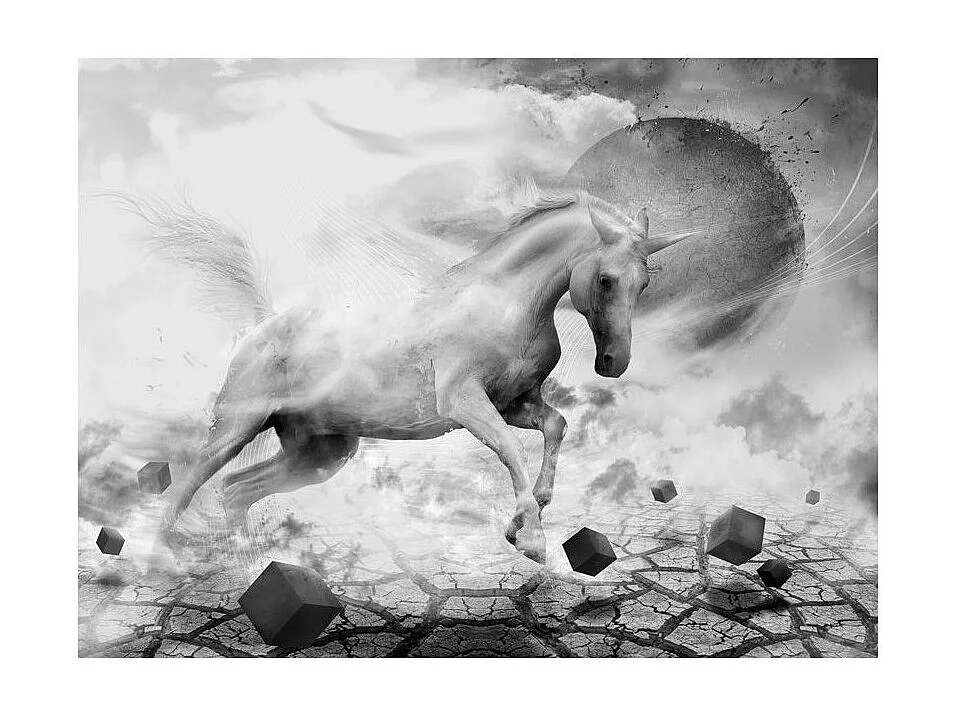 Papier Peint "Unicorn" 154 x 200 cm