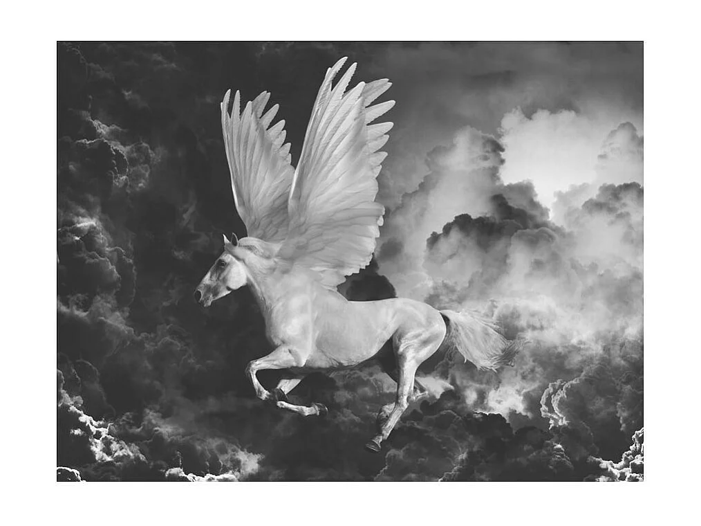 Papier Peint "Pegasus sur le Chemin de l'Olympe" 193 x 250 cm
