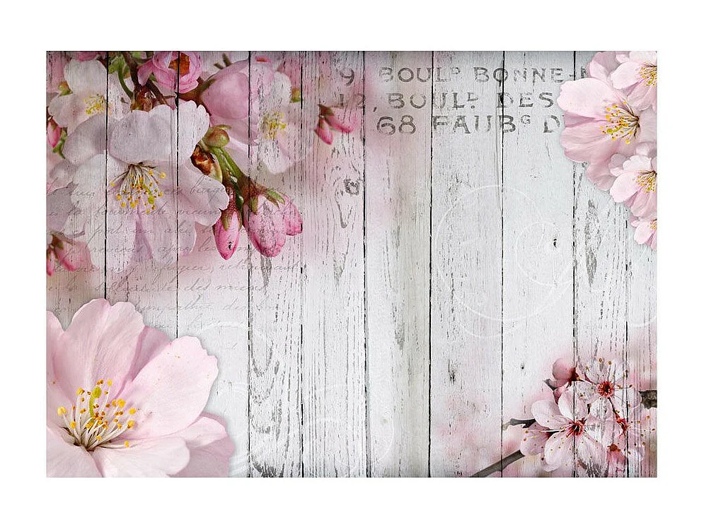 Papier Peint "Apple Blossoms" 105 x 150 cm