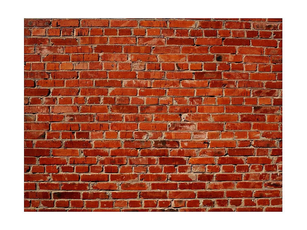 Papier Peint "Brique" 231 x 300 cm