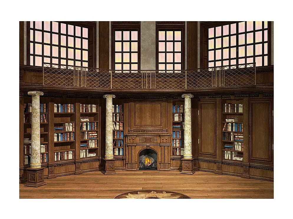 Papier Peint "Library of Dreams" 140 x 200 cm