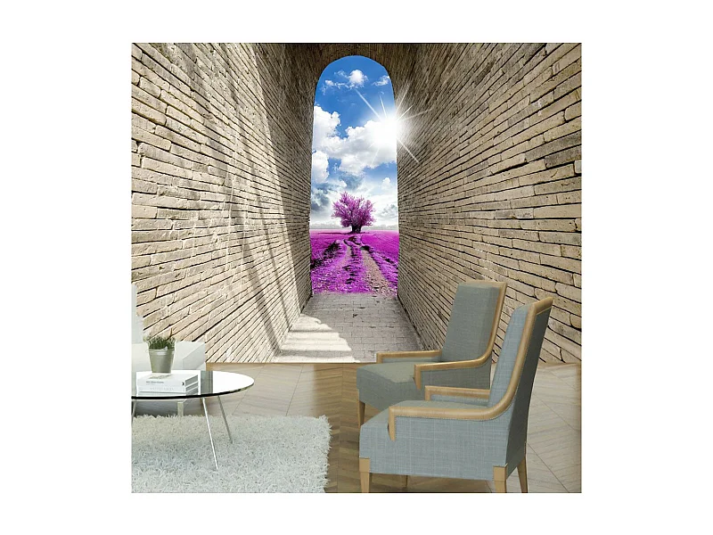 Papier Peint "Passage Magique" 175 x 250 cm