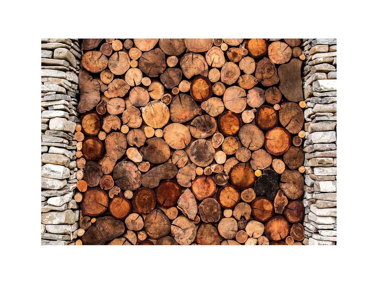 Papier Peint "Wooden Gate" 280 x 400 cm