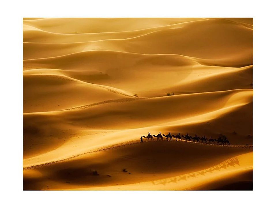 Papier Peint "Caravane de Chameaux" 270 x 350 cm