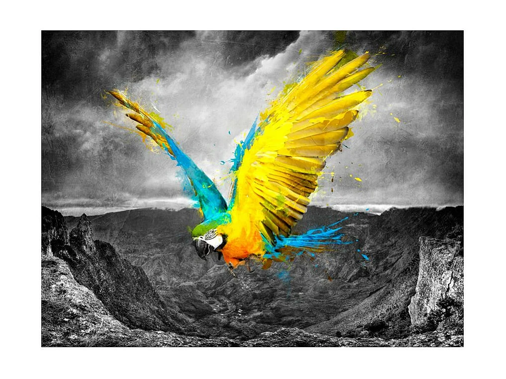 Papier Peint "Exotic Parrot" 231 x 300 cm