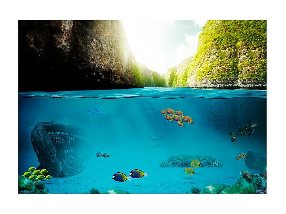 Papier Peint "Under the Waterline" 210 x 300 cm