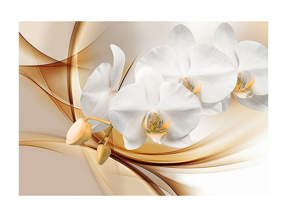 Papier Peint "Orchid Blossom" 105 x 150 cm
