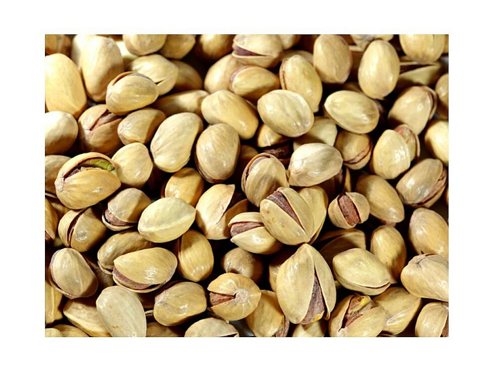 Papier Peint "Et Pourquoi Pas Les Pistaches ?" 270 x 350 cm