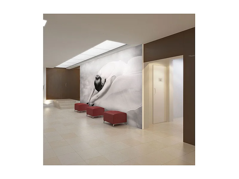 Papier Peint "Photographie : Ballerine" 270 x 350 cm