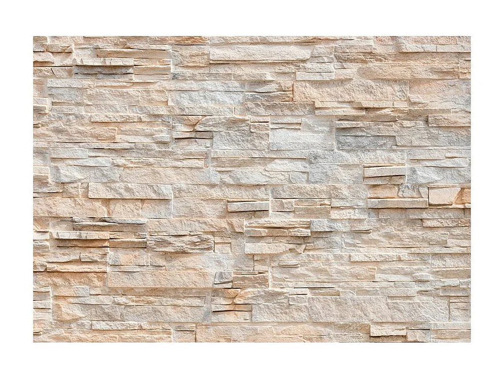 Papier Peint "Raffinement de Pierre" 245 x 350 cm