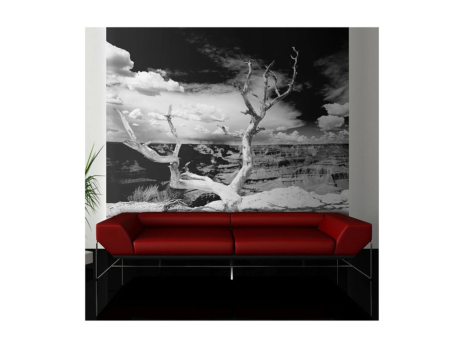 Papier Peint "Arbre au Grand Canyon, Arizona" 154 x 200 cm