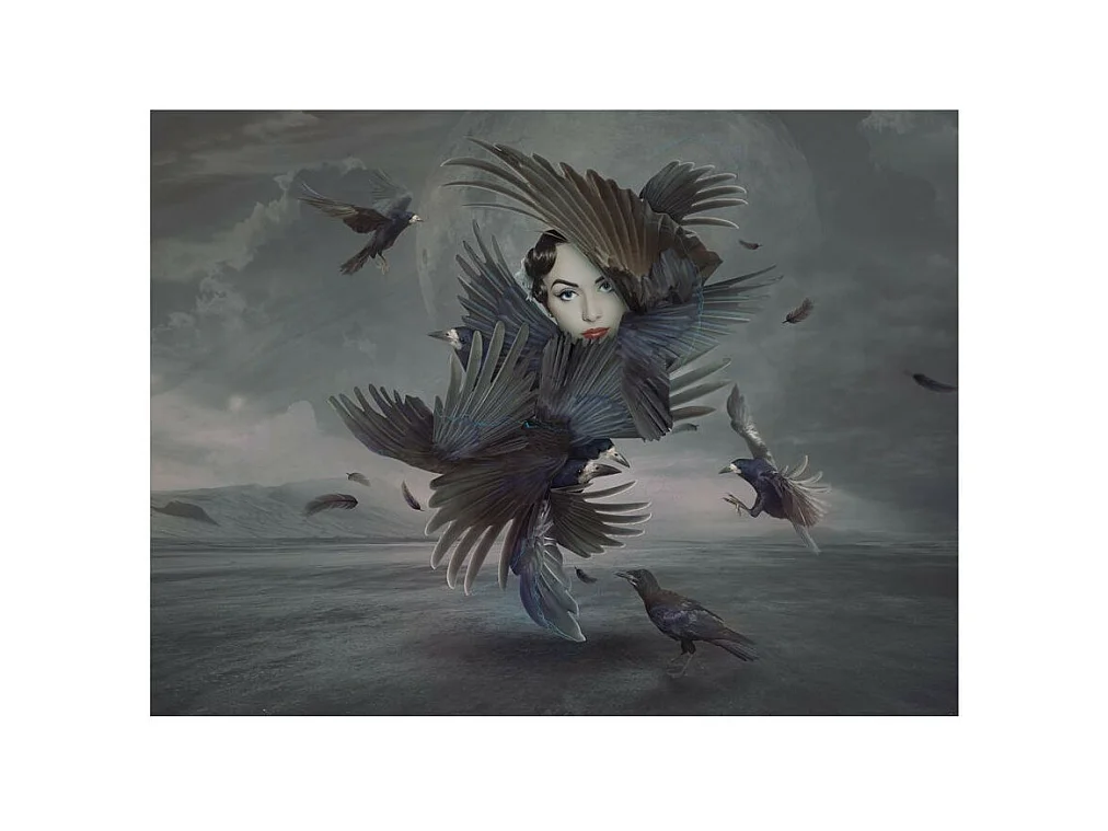 Papier Peint "Couverte de Plumes" 193 x 250 cm