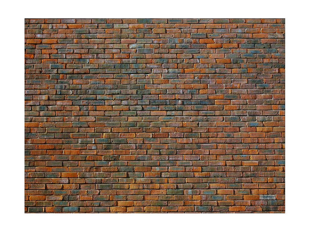 Papier Peint "Mur en Briques" 270 x 350 cm