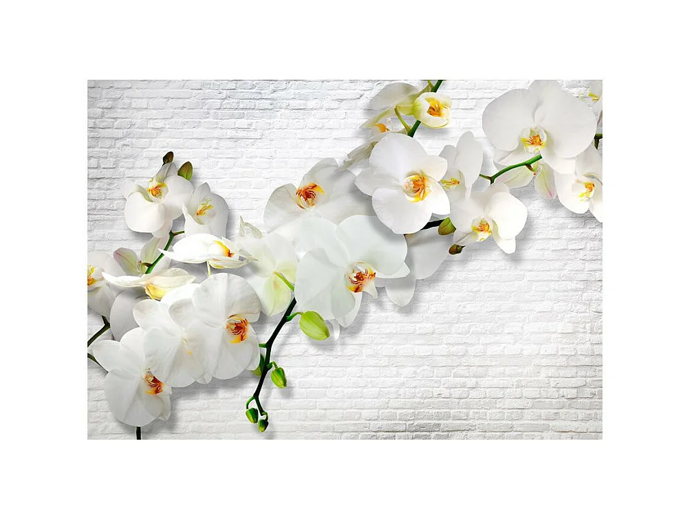 Papier Peint "The Urban Orchid" 70 x 100 cm