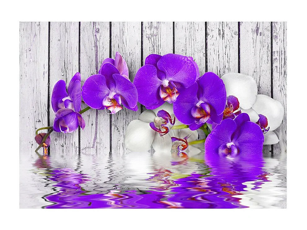 Papier Peint "Dormant Instincts" 175 x 250 cm