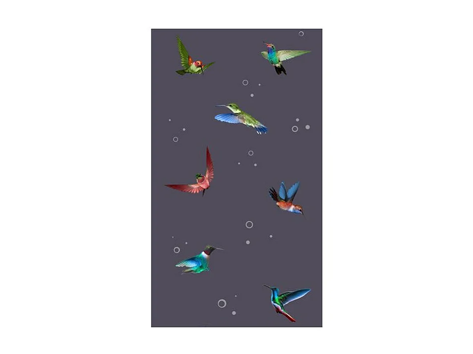 Papier Peint "Flight of Hummingbirds" 50x1000cm