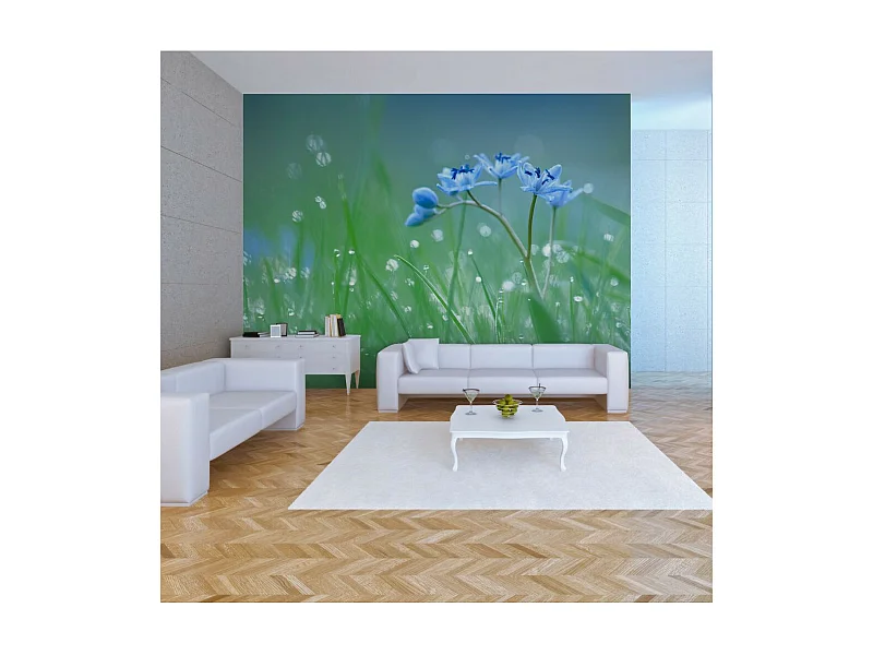 Papier Peint "Prairie dans la Lumière du Matin" 231 x 300 cm