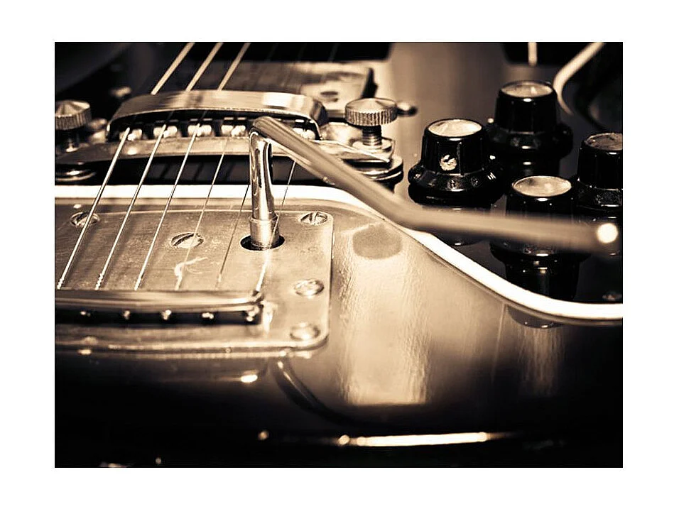 Papier Peint "Guitare" 193 x 250 cm