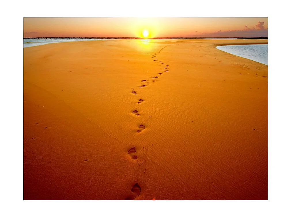 Papier Peint "Traces de Pas sur le Sable" 193 x 250 cm