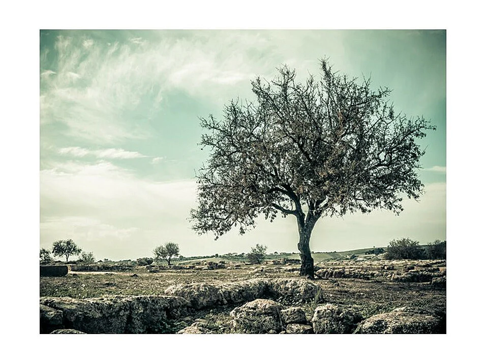 Papier Peint "Arbre Vintage" 154 x 200 cm