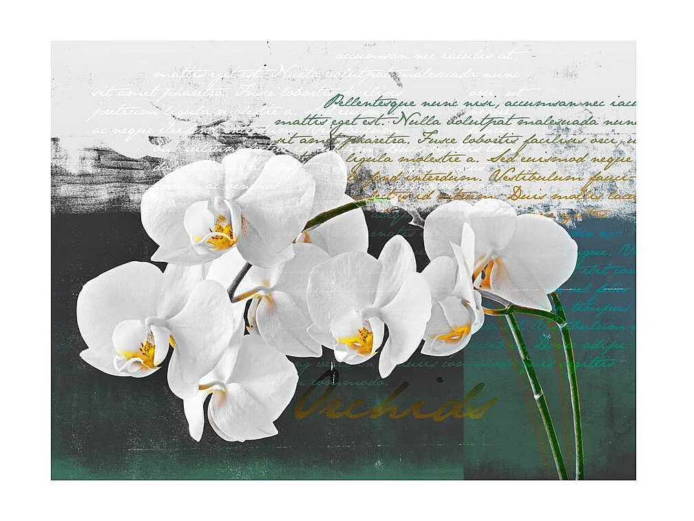 Papier Peint "Orchidées Inspiration du Poète" 231 x 300 cm