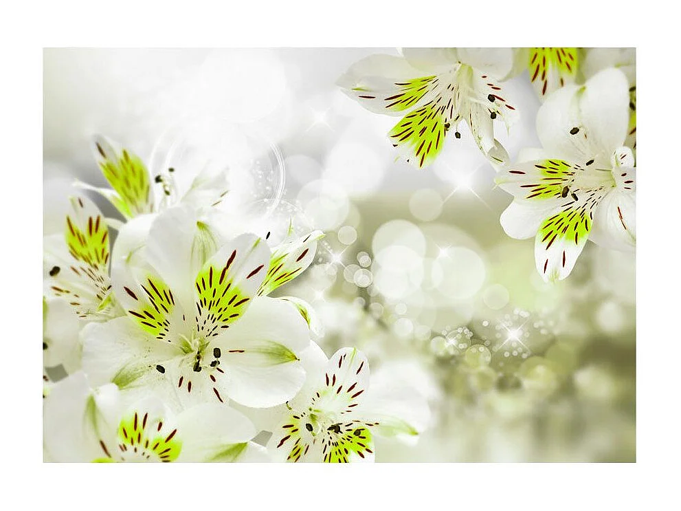 Papier Peint "Southern Princess" 175 x 250 cm